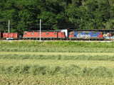 FFS Re 420 347-7 e Re 6/6 11668 'Stein - Sckingen'